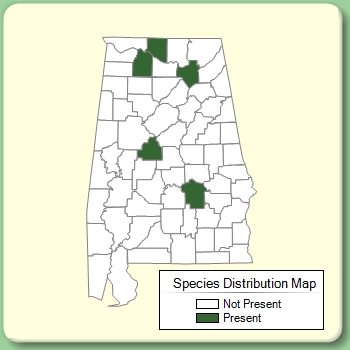 Species Distribution Map