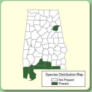 Species Distribution Map