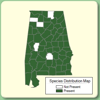 Species Distribution Map