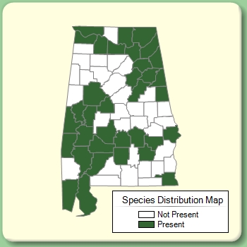 Species Distribution Map