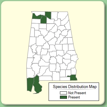 Species Distribution Map