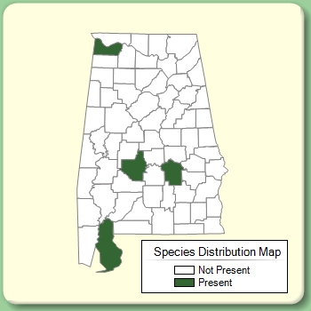 Species Distribution Map