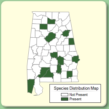 Species Distribution Map