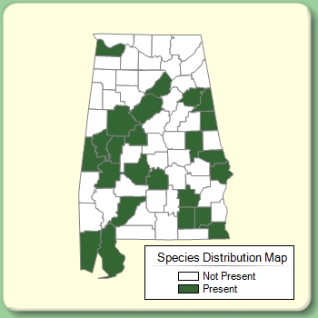 Species Distribution Map