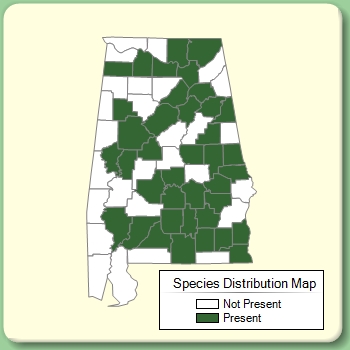 Species Distribution Map