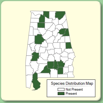 Species Distribution Map