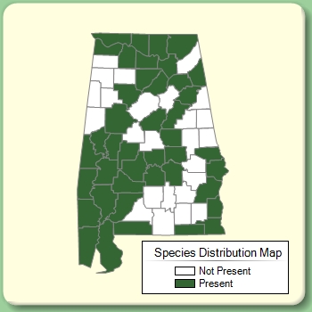 Species Distribution Map