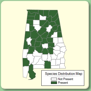 Species Distribution Map