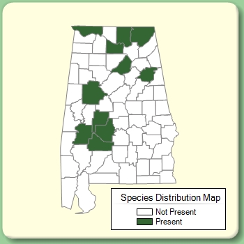 Species Distribution Map