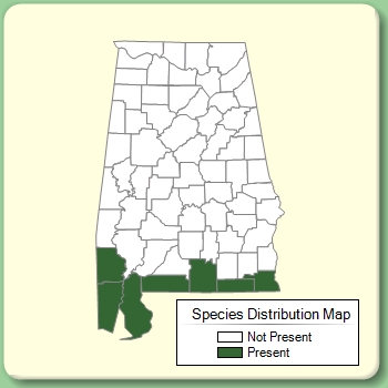 Species Distribution Map