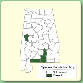 Species Distribution Map