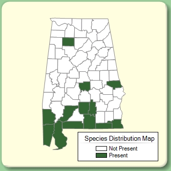 Species Distribution Map