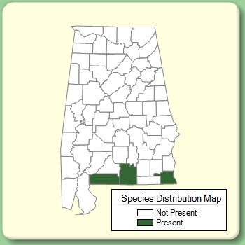 Species Distribution Map