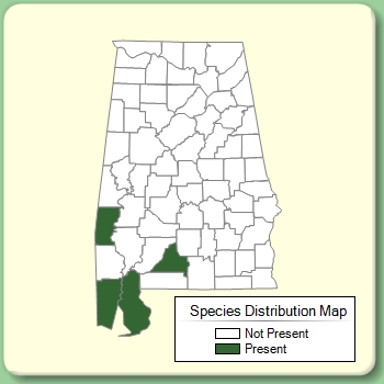 Species Distribution Map