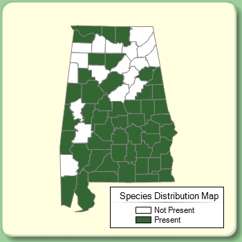 Species Distribution Map