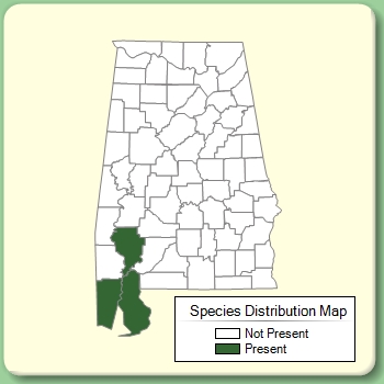 Species Distribution Map