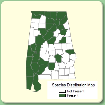 Species Distribution Map