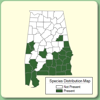 Species Distribution Map