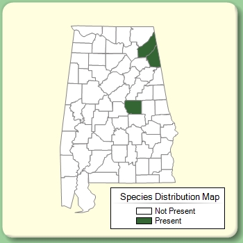 Species Distribution Map