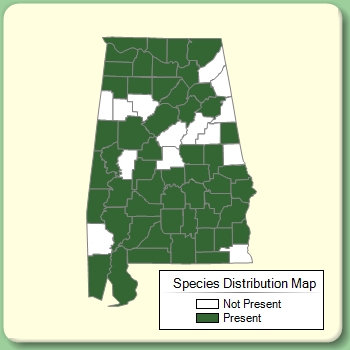 Species Distribution Map