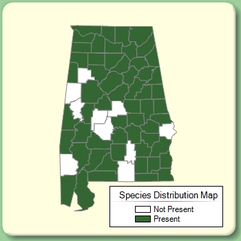 Species Distribution Map