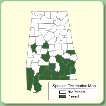 Species Distribution Map