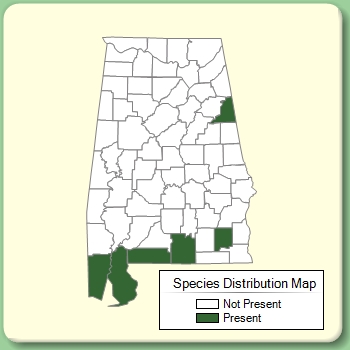 Species Distribution Map