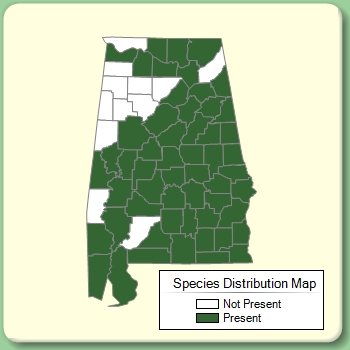 Species Distribution Map