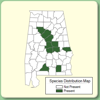 Species Distribution Map