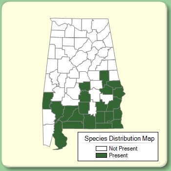 Species Distribution Map