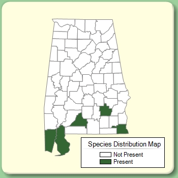 Species Distribution Map