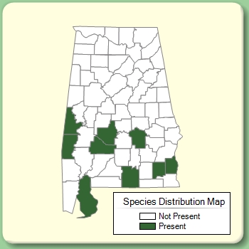 Species Distribution Map