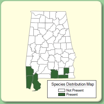 Species Distribution Map