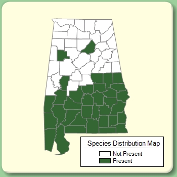 Species Distribution Map