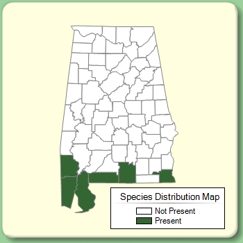 Species Distribution Map