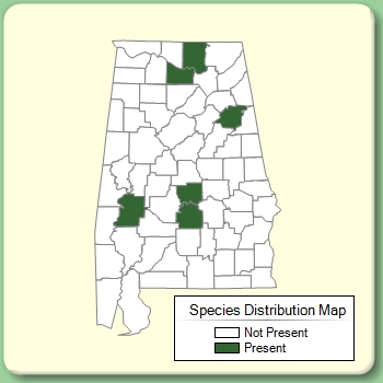 Species Distribution Map