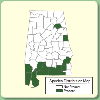 Species Distribution Map