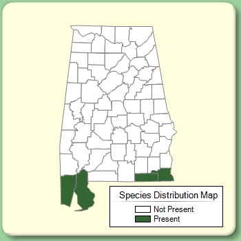 Species Distribution Map