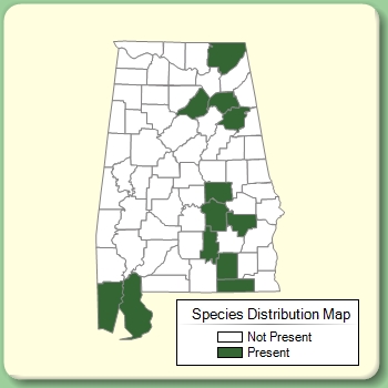 Species Distribution Map