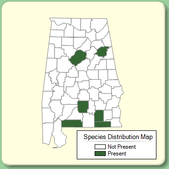 Species Distribution Map