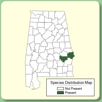 Species Distribution Map