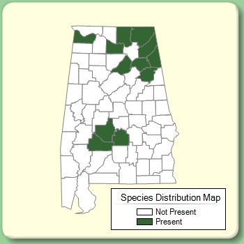 Species Distribution Map