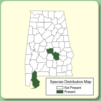 Species Distribution Map