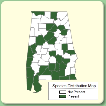 Species Distribution Map