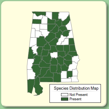 Species Distribution Map