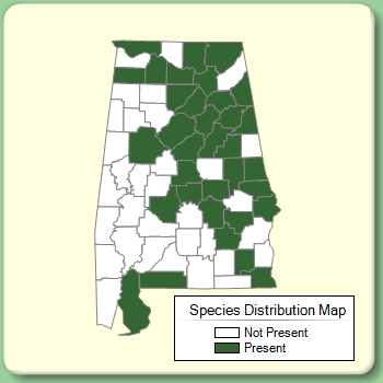 Species Distribution Map