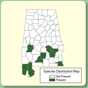 Species Distribution Map