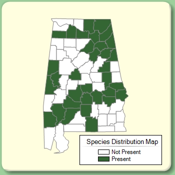 Species Distribution Map