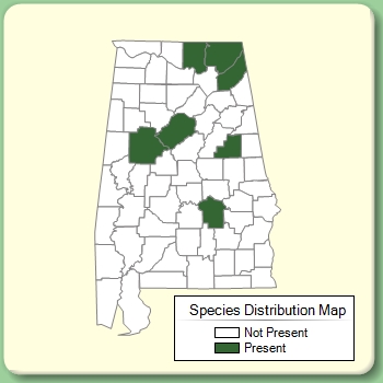 Species Distribution Map