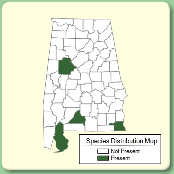 Species Distribution Map